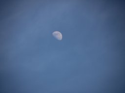 fliegen0803 20
